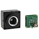 Machine Vision Inspection Cameras